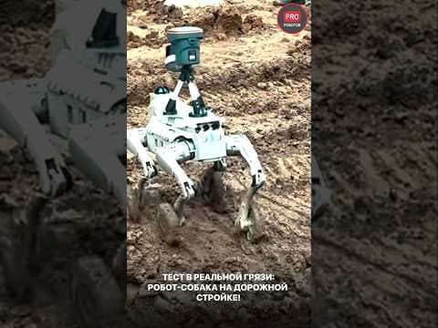 Робот-собака Inchbot L1 в реальной грязи: жесткий тест на дорожной стройке! 🐕🛠