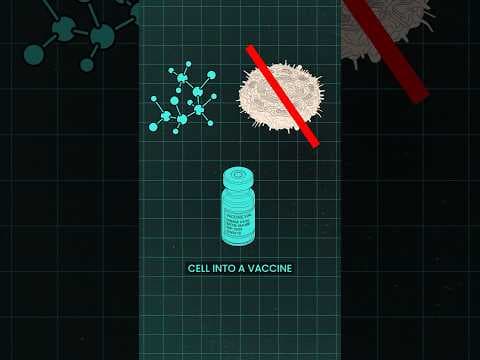 It’s biotech, but it works almost like programmable software