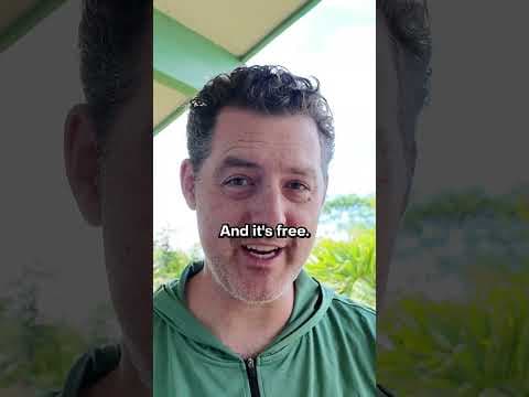 New BEST AI Memory System