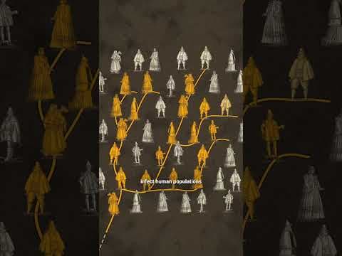 Nobody Knows Why the Plague Keeps Coming Back - Si Sheppard