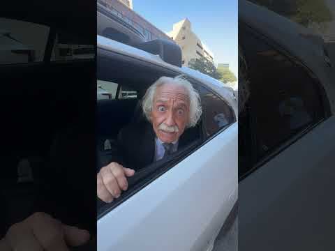 Another day, another genius in the backseat 🙂‍↕️📸 EleanorLuckie on TikTok