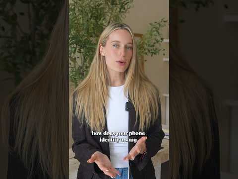 How does Shazam identify a song in a noisy bar in under two seconds?