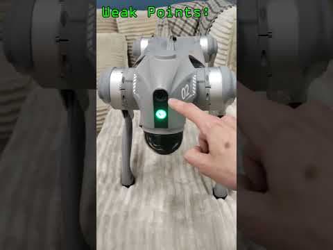 Robot Dog! Unitree Go2 review #shorts #robot #dog