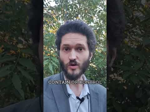 Don't Let "Scepticism" Make You Useless: ActOnAI.org