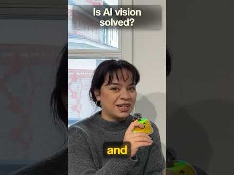 Is AI Vision Solved?