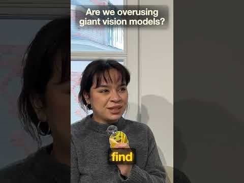 Are We Overusing Giant Vision Models?